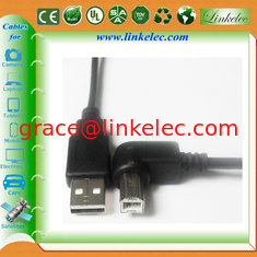 China 6ft Winkel USB BM zu USB AM Druckerkabel fournisseur